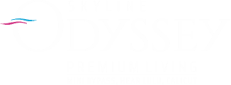 Skyline Odyssey